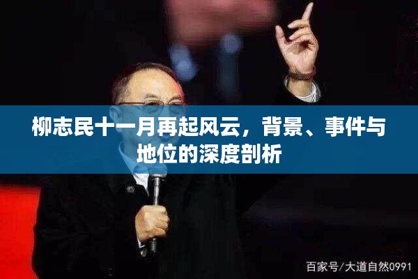 柳志民十一月再起风云,背景、事件与地位的深度剖析