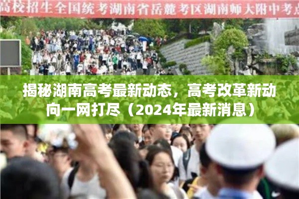 笔走如飞 第3页
