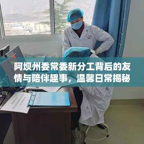 阿坝州委常委新分工背后的友情与陪伴趣事,温馨日常揭秘启幕时刻