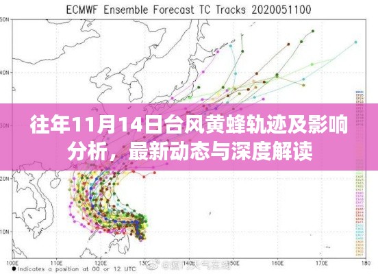 往年11月14日台风黄蜂轨迹及影响分析,最新动态与深度解读