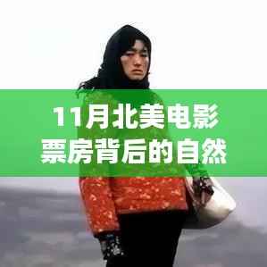 11月北美电影票房背后的自然美景之旅,心灵探险启程