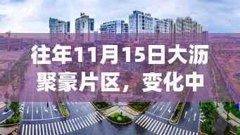 往年11月15日大沥聚豪片区,变化中的力量与学习魅力新篇章