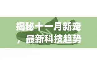 揭秘十一月新宠,最新科技趋势下的AJ系列革新成果探索