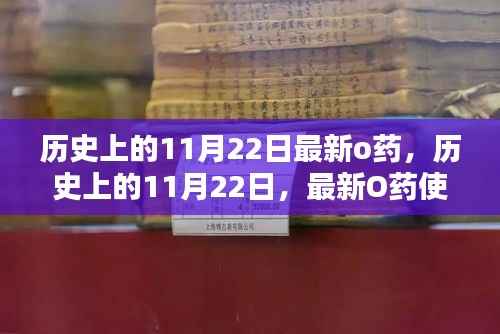 历史上的11月22日最新O药使用指南及详解步骤