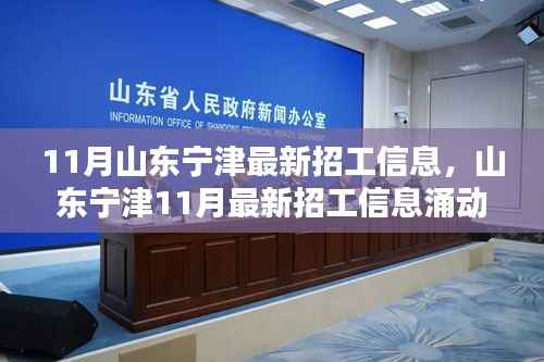 山东宁津11月最新招工信息涌动,新机遇引领时代风潮,招工热潮开启!