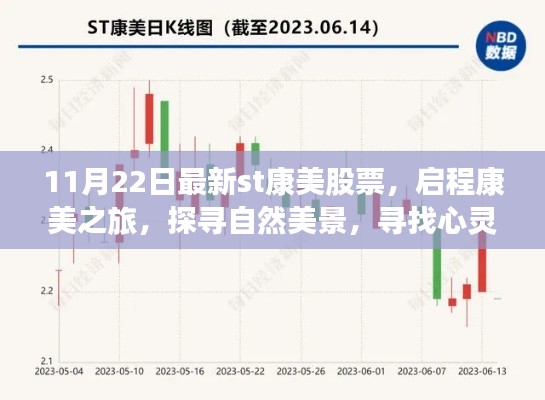 11月22日最新st康美股票,启程康美之旅,探寻自然美景,寻找心灵净土
