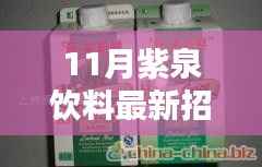 紫泉饮料招聘启事,产品特性、用户体验与目标用户群体深度解析,探寻最新人才加盟
