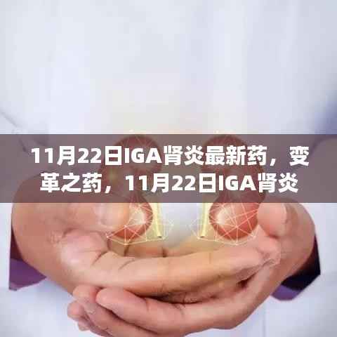 变革之药,IGA肾炎新药照亮希望之光,学习成就自信之路(11月22日新药发布)