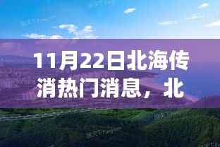 北海市场消息传播渠道深度解析,最新动态与用户体验分析(11月22日热门消息速递)