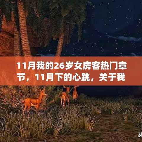 11月下的心跳，26岁女房客热门章节多维解读