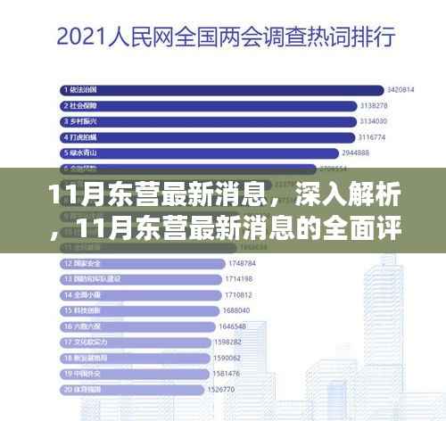 11月东营最新动态,全面解析与评测