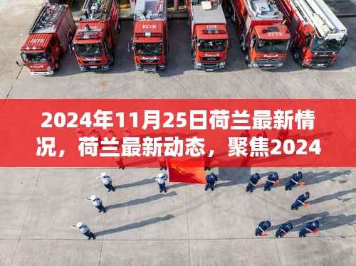 荷兰最新动态,聚焦2024年11月25日概览