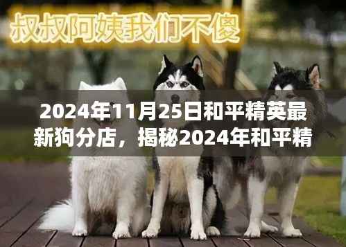 揭秘和平精英最新狗分店,体验、攻略与独特魅力(2024年11月更新)