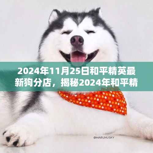 揭秘和平精英最新狗分店,体验、攻略与独特魅力(2024年11月更新)