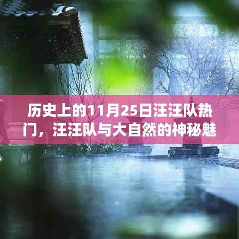 汪汪队与大自然的神秘魅力,一次远离尘嚣的历史心灵之旅(11月25日热门回顾)