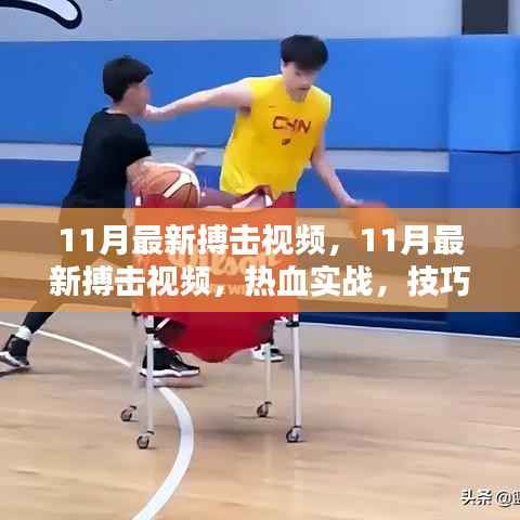 11月最新搏击视频,热血实战展现技巧与力量的完美融合