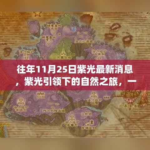 紫光引领的自然之旅，寻找内心平静的奇妙探险之旅