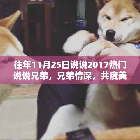 温馨回忆,兄弟情深,共度时光——记兄弟间的美好日常与热门说说 2017篇