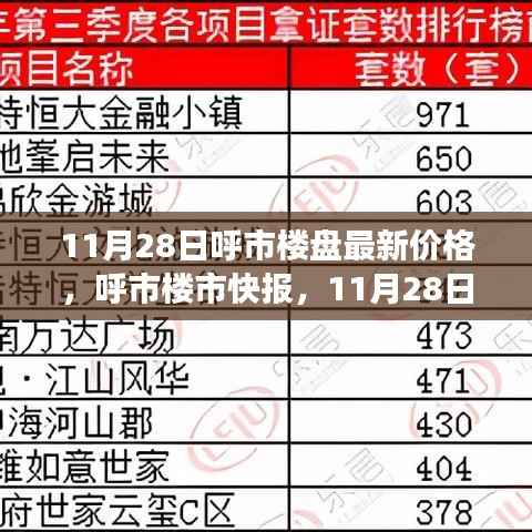 呼市楼盘最新价格快报,11月28日楼市概览与走势分析