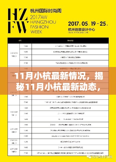 揭秘小杭11月最新动态,潮流引领新征程