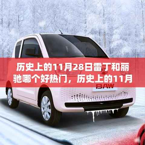 历史上的11月28日,雷丁与丽驰的热门奇妙之旅与探索自然美景的力量与宁静之旅体验对比。