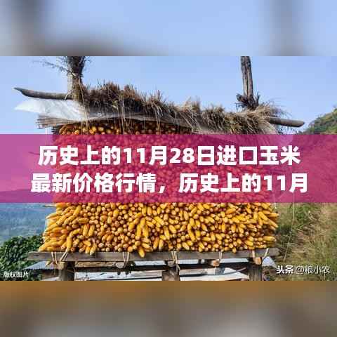 历史上的11月28日进口玉米价格行情深度解析,最新行情分析与三大要点解读