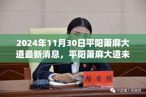平阳萧麻大道未来展望,最新消息与规划探讨(2024年11月30日)