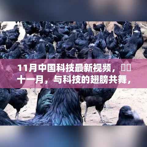 十一月中国科技前沿视频,探寻自然美景中的内心宁静,共舞科技的翅膀