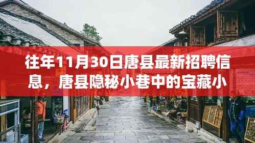 往年11月30日唐县最新招聘信息,唐县隐秘小巷中的宝藏小店,揭秘十一月最新招聘信息与独特环境魅力