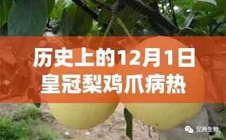 皇冠梨鸡爪病热门方法揭秘,历史回顾与温馨十二月初一的独特故事