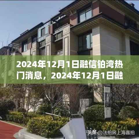 融信铂湾盛会即将开启,引领未来的瞩目新闻