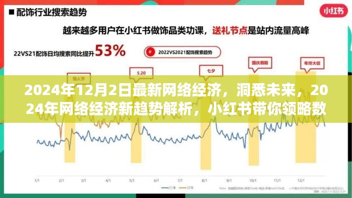 小红书解析,2024年网络经济新趋势,洞悉数字经济浪潮