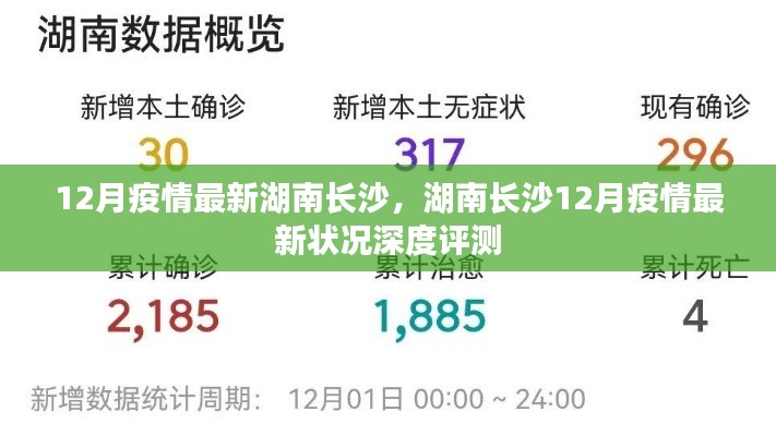 湖南长沙12月疫情最新状况深度解析与评测