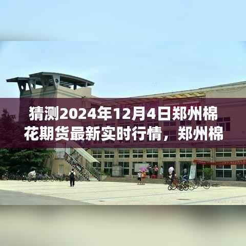 2024年郑州棉花期货市场预测,探寻未来行情脉搏的最新实时行情分析