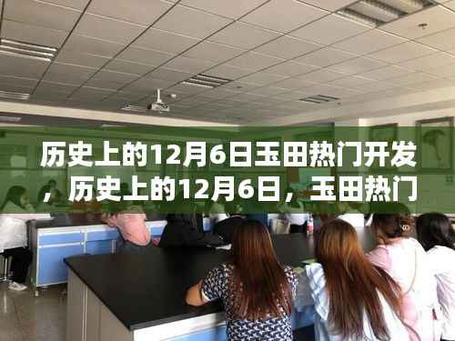 历史上的12月6日玉田开发热点深度解析与介绍