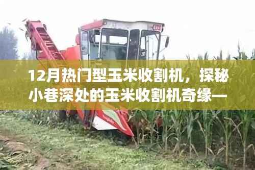 有气无力 第3页