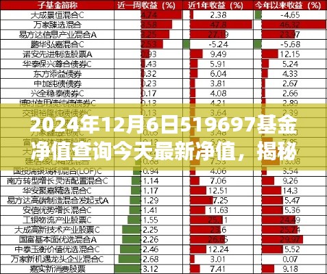 揭秘特色小店的基金净值与独特故事,今日最新净值查询,探索小巷深处的隐藏宝藏——519697基金净值报告(XXXX年XX月XX日)