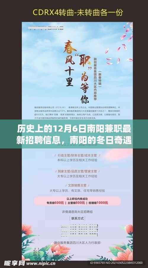 南阳兼职招聘信息发布日,冬日里的友情与奇遇