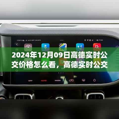 2024年12月09日高德实时公交价格怎么看,高德实时公交价格查询指南,解读2024年公交费用新动态