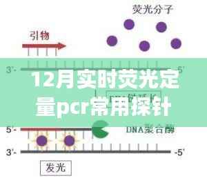 衣不兼彩 第3页