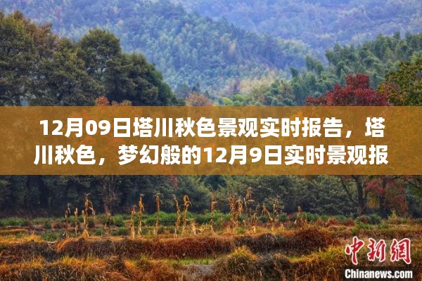 梦幻塔川秋色,12月9日实时景观报告
