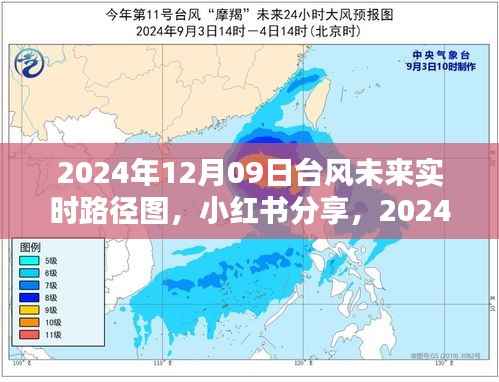 掌握天气动态,小红书分享台风未来实时路径图,安全出行必备