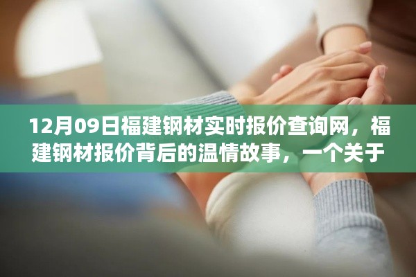 福建钢材报价背后的温情故事,友情与陪伴的温馨日常查询网
