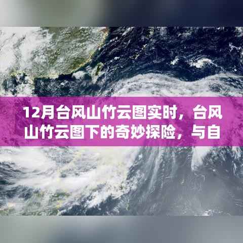 台风山竹云图下的奇妙探险,与自然共舞,探寻内心宁静港湾的实时追踪