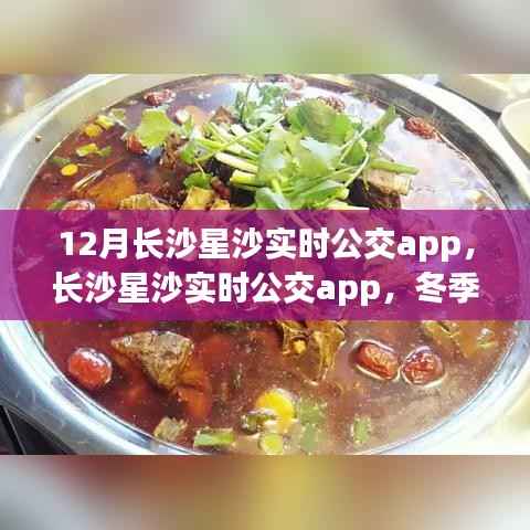 冬季长沙星沙出行必备,实时公交app助你轻松掌握公交动态