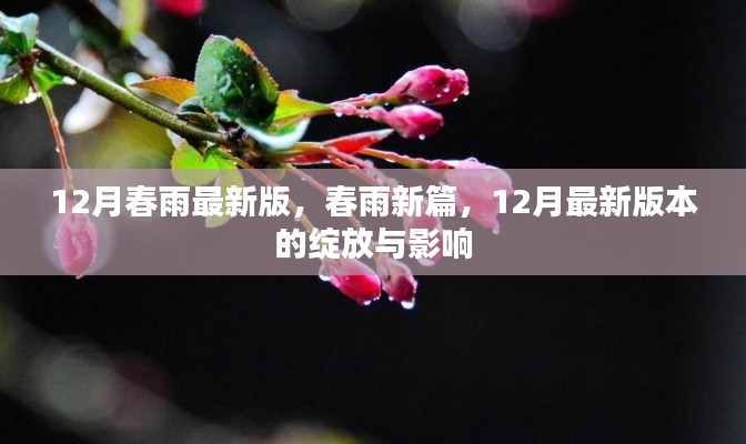 12月春雨新篇,最新版本的绽放与深远影响