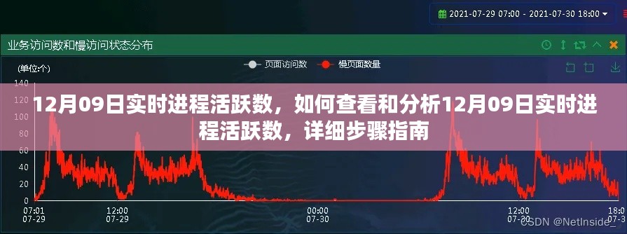 12月09日实时进程活跃数详解，查看与分析步骤指南