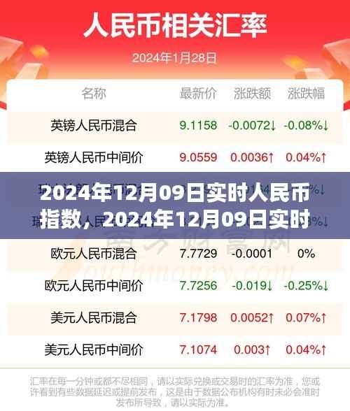洞悉未来货币走向的关键指标,揭秘实时人民币指数在2024年12月09日的动态