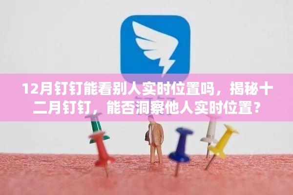 揭秘,十二月钉钉能否查看他人实时位置?