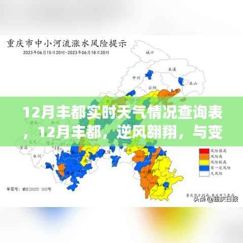 12月丰都实时天气与变化共舞的新篇章